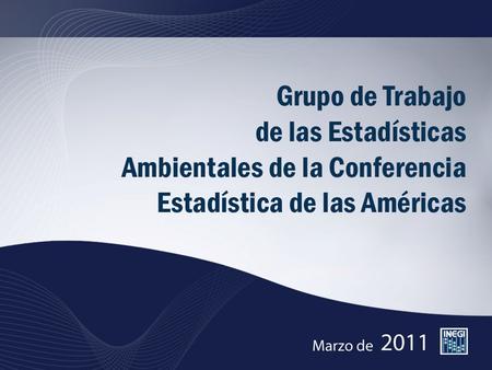Grupo de Trabajo de las Estadísticas Ambientales de la Conferencia Estadística de las Américas.