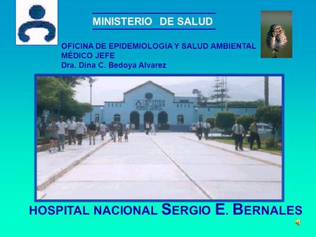 HOSPITAL NACIONAL SERGIO E. BERNALES