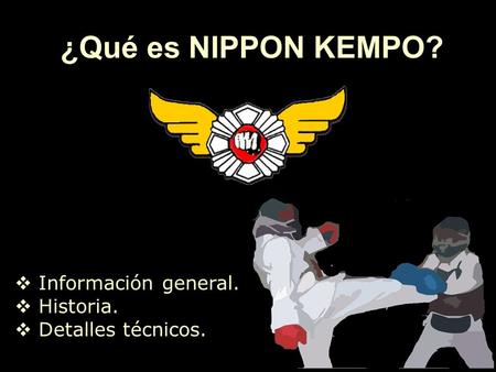 ¿Qué es NIPPON KEMPO? Información general. Historia.