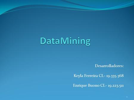 DataMining Desarrolladores: Keyla Ferreira CI