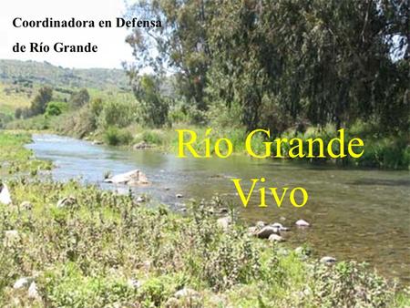 Río Grande Vivo Coordinadora en Defensa de Río Grande.