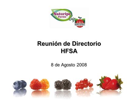 Reunión de Directorio HFSA