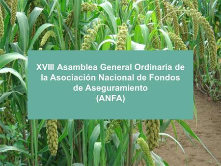 XVIII Asamblea General Ordinaria de la Asociación Nacional de Fondos de Aseguramiento (ANFA)