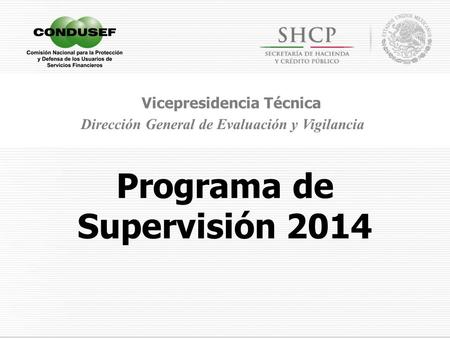 Programa de Supervisión 2014