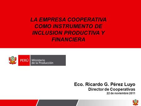 Eco. Ricardo G. Pérez Luyo Director de Cooperativas