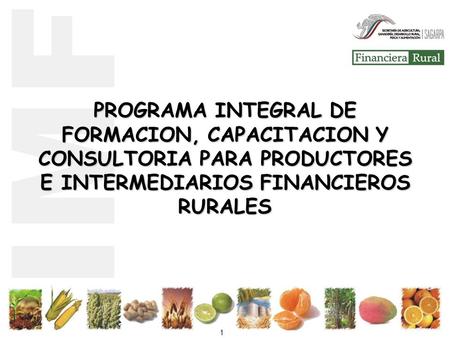 PROGRAMA INTEGRAL DE FORMACION, CAPACITACION Y CONSULTORIA PARA PRODUCTORES E INTERMEDIARIOS FINANCIEROS RURALES.
