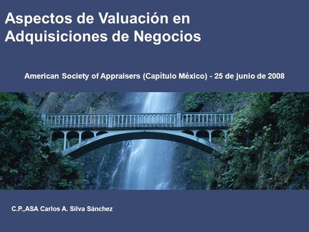 American Society of Appraisers (Capítulo México) - 25 de junio de 2008