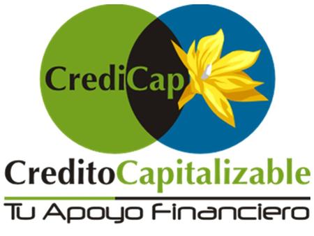 Un Negocio Rentable Créditos Capitalizables