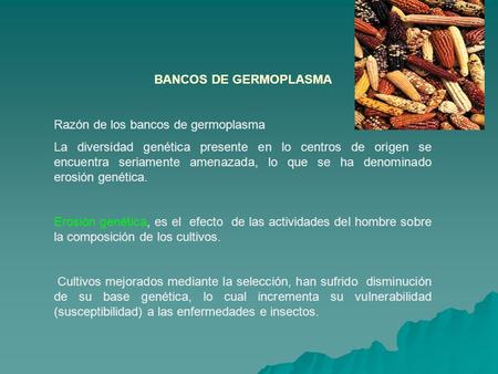 BANCOS DE GERMOPLASMA Razón de los bancos de germoplasma