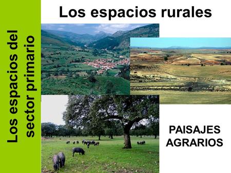 Los espacios rurales Los espacios del sector primario