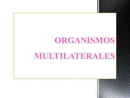 ORGANISMOS MULTILATERALES