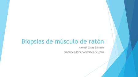 Biopsias de músculo de ratón