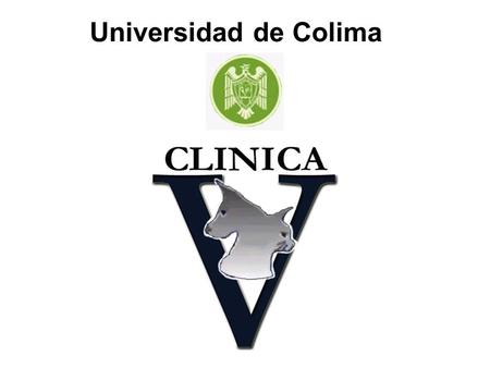 Universidad de Colima.