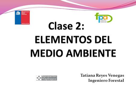Clase 2: ELEMENTOS DEL MEDIO AMBIENTE