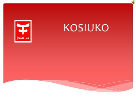 KOSIUKO QUIENES SOMOS Kosiuko fue una compañía que se creó en 1992, en la época de la convertibilidad argentina, con un capital inicial de 600 USD,