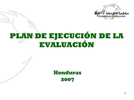 1 PLAN DE EJECUCIÓN DE LA EVALUACIÓN Honduras 2007.