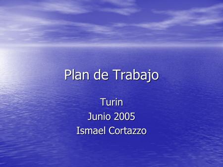 Plan de Trabajo Turin Junio 2005 Ismael Cortazzo.