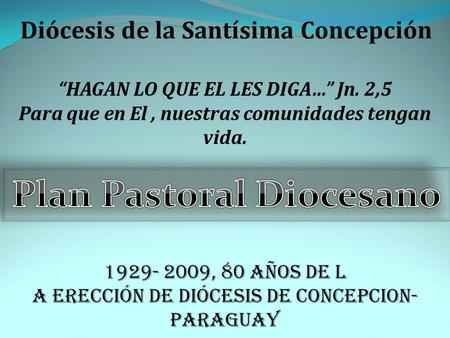 Diócesis de la Santísima Concepción