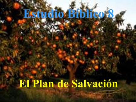 Estudio Bíblico 8 El Plan de Salvación.