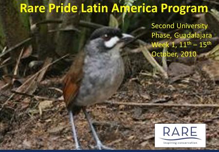 Rare Pride Latin America Program Second University Phase, Guadalajara Week 1, 11 th – 15 th October, 2010.