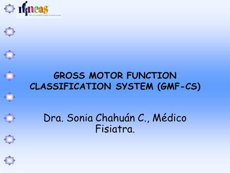 GROSS MOTOR FUNCTION CLASSIFICATION SYSTEM (GMF-CS)