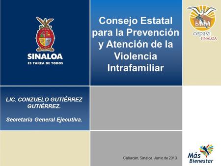 Consejo Estatal para la Prevención y Atención de la Violencia Intrafamiliar Culiacán, Sinaloa, Junio de 2013. LIC. CONZUELO GUTIÉRREZ GUTIÉRREZ. Secretaria.