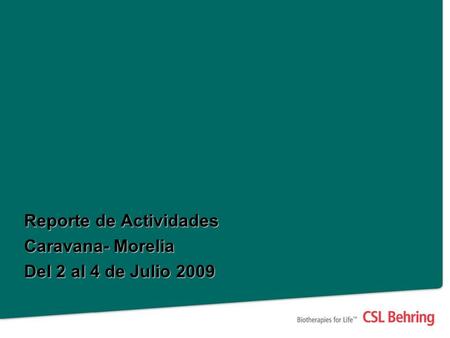 Reporte de Actividades Caravana- Morelia Del 2 al 4 de Julio 2009.
