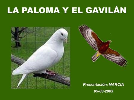 LA PALOMA Y EL GAVILÁN Presentación: MARCIA 05-03-2003.