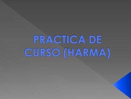 PRACTICA DE CURSO (HARMA)