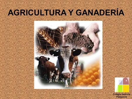 AGRICULTURA Y GANADERÍA