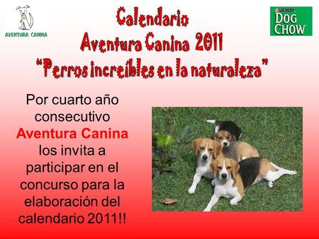 Por cuarto año consecutivo Aventura Canina los invita a participar en el concurso para la elaboración del calendario 2011!!