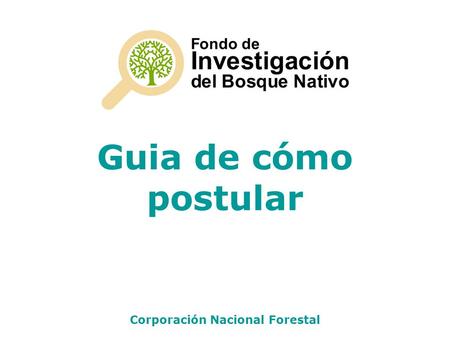 Corporación Nacional Forestal