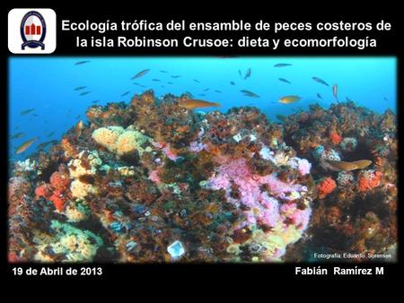 Ecología trófica del ensamble de peces costeros de la isla Robinson Crusoe: dieta y ecomorfología Fotografía: Eduardo Sorensen 19 de Abril de 2013 Fabián.