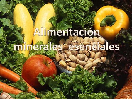 Alimentación minerales esenciales.