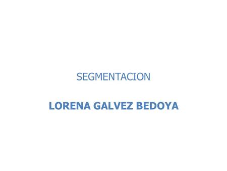 SEGMENTACION LORENA GALVEZ BEDOYA