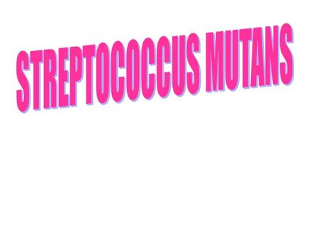 STREPTOCOCCUS MUTANS.