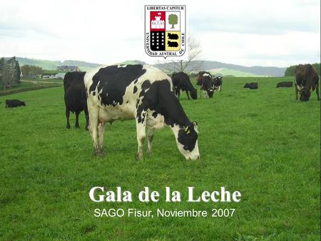 Gala de la Leche SAGO Fisur, Noviembre 2007.
