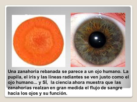 Una zanahoria rebanada se parece a un ojo humano