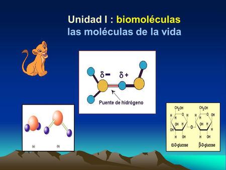 Unidad I : biomoléculas las moléculas de la vida