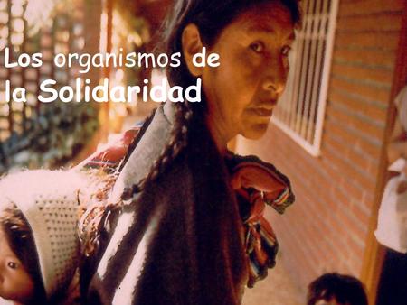 Los organismos de la Solidaridad. Código ONGD:109 Nº de expediente PR802A 2004/2.
