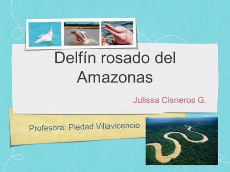 Profesora: Piedad Villavicencio Delfín rosado del Amazonas Julissa Cisneros G.