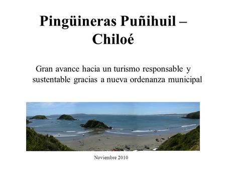 Pingüineras Puñihuil – Chiloé