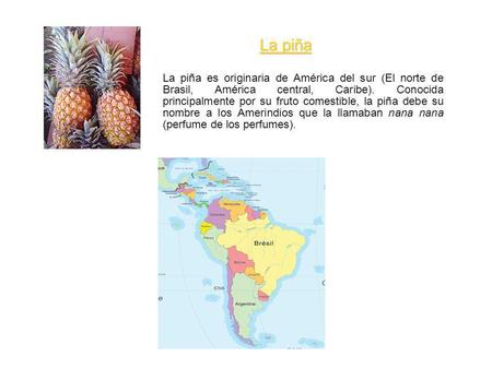 La piña La piña es originaria de América del sur (El norte de Brasil, América central, Caribe). Conocida principalmente por su fruto comestible, la piña.