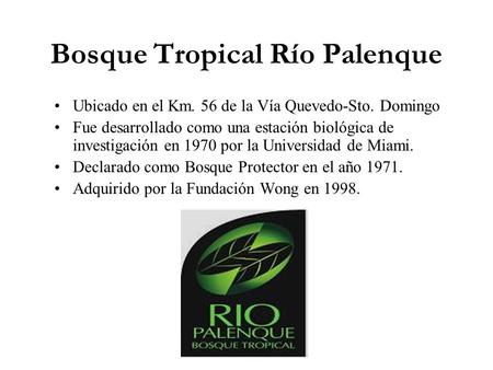 Bosque Tropical Río Palenque
