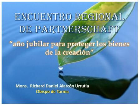 Mons. Richard Daniel Alarcón Urrutia