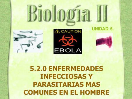 5.2.0 ENFERMEDADES INFECCIOSAS Y PARASITARIAS MAS COMUNES EN EL HOMBRE