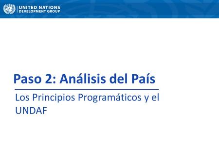 Paso 2: Análisis del País Los Principios Programáticos y el UNDAF.
