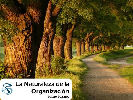 La Naturaleza de la Organización Josué Lozano 1. SEMILLA 2.