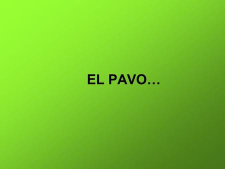 EL PAVO….