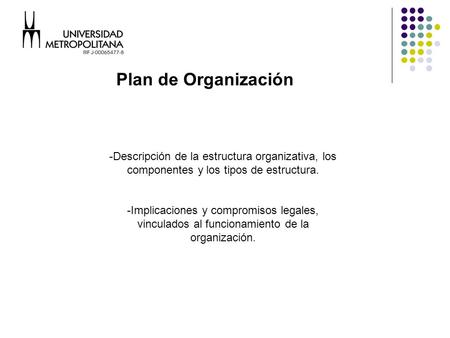 Plan de Organización -Descripción de la estructura organizativa, los componentes y los tipos de estructura. -Implicaciones y compromisos legales, vinculados.